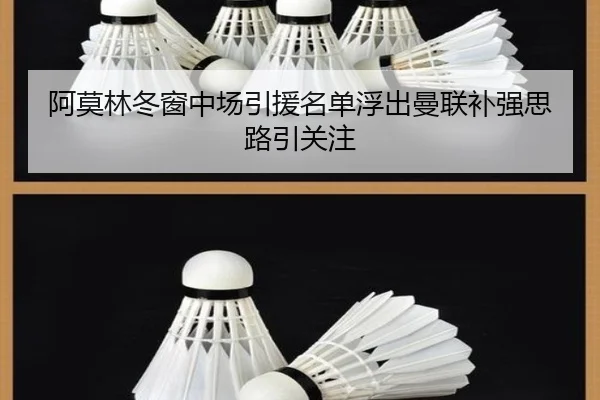 阿莫林冬窗中场引援名单浮出曼联补强思路引关注 | MilanSportsAPP